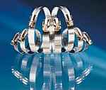 Parker Stainless Hose Clips